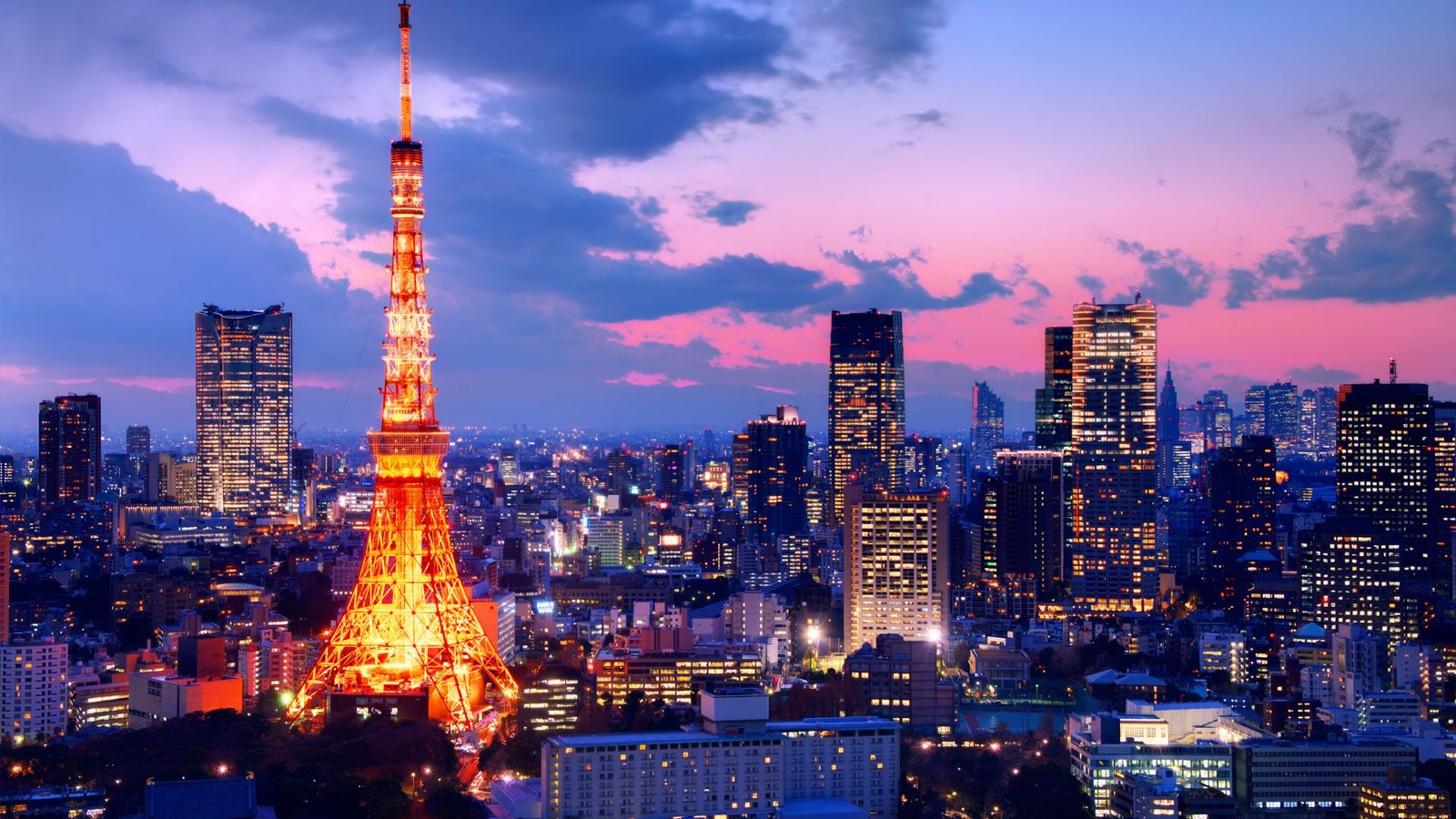 Madinah hotel dining